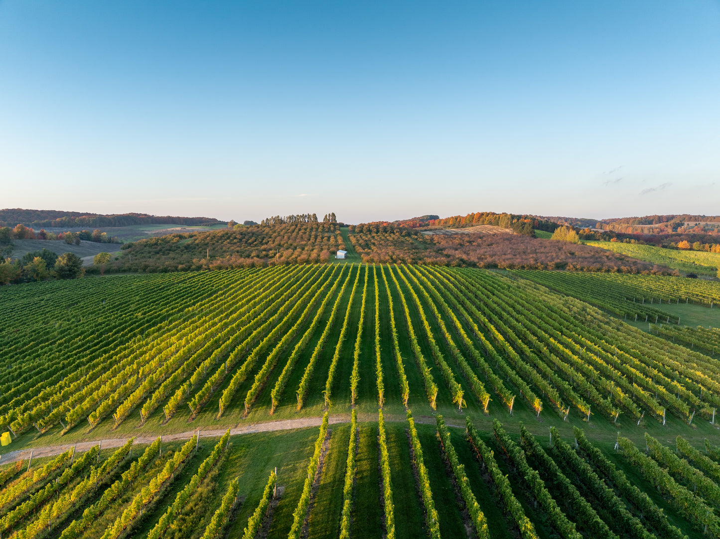 Urban Coast Chicago Wine Leelanau Peninsula